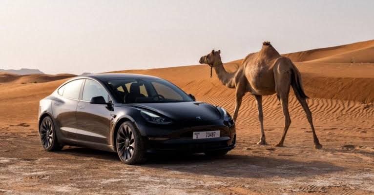The EV Brand That Changed the Conversation: Tesla’s Next Chapter on UAE Roads